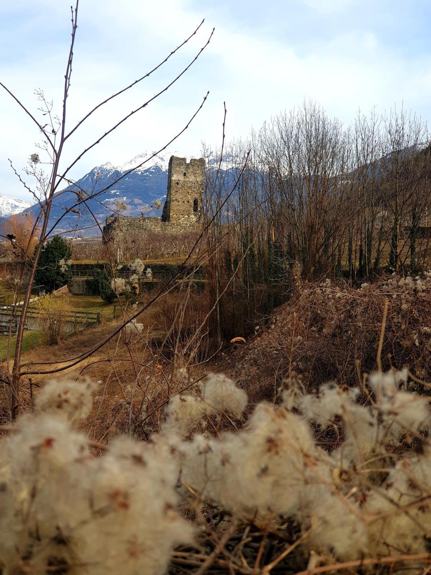 Appartement Il Rosone à Tirano Extérieur photo